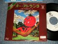 LITTLE FEAT リトル・フィート - A) OH ATLANTA  オー・アトランタ  B) WILLIN' ウィリン(Ex+/MINT- STOFC) / 1978JAPAN ORIGINAL "WHITE LABEL PROMO"  Used 7" 45 rpm Single