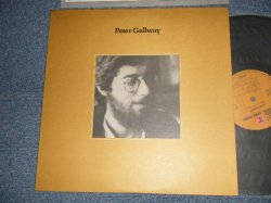 Photo1: PETER GALLWAY ピーター・ゴールウエイ - PETER GALLWAY ピーター・ゴールウエイ (MINT-/MINT) / 1978 JAPAN ORIGINAL Used LP 