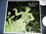 Photo: THE CURE - ARBOREAL  / COLLECTORS ( BOOT ) Used 2LP