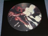 Photo: DAVID BOWIE -  HOLLAND 1983  / 1983??? COLLECTORS ( BOOT ) Picture Disc  LP