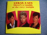 Photo: STRAY CATS - THERE'S A RUMBLE AT THE ROXY TONIGHT LIVE IN LOS ANGELES APRIL 28, 1982 /  COLLECTORS ( BOOT ) LPN BRAND NEW DEAD STOCK 