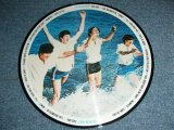 Photo: THE BEATLES - THE DECCA TAPES ( SWIM WARE  VERSION or MIAMI VERSION Picture Disc )   /  COLLECTORS ( BOOT ) LP