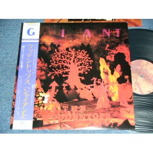 Photo: THE WOODENTOPS - GIANT  / 1986 JAPAN ORIGINAL Used LP With OBI 