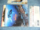 Photo: THE BEACH BOYS - SUMMER IN PARADISE  / 1993  JAPAN  ORIGINAL Used CD With OBI 