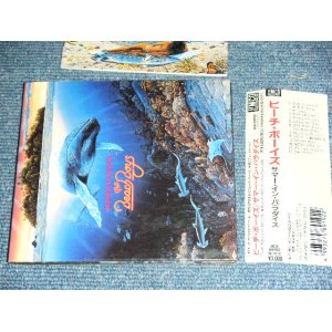 Photo: THE BEACH BOYS - SUMMER IN PARADISE  / 1993  JAPAN  ORIGINAL Used CD With OBI 