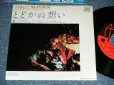 Photo: TURLEY RICHARDS - TOU MIGHT NEED SOMEBODY   / 1979 JAPAN ORIGINAL Used 7"45 rpm Single With PICTURE SLEEVE 