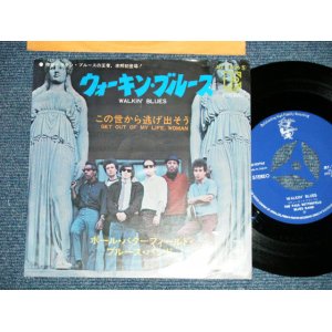 Photo: The PAUL BUTTERFIELD BLUES BAND ポール・バターフィールド・ブルース・バンド - WALKIN' BLUES  ( Ex++/MINT-) / 1968  JAPAN ORIGINAL "1st Debut  Single" Used 7"45 rpm Single With PICTURE COVER