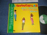 Photo: The SHANGRI-LAS シャングリラス- ALL-TIME GREATEST HITS ( MINT-/MINT)  / 1986 JAPAN Only ORIGINAL Used LP With OBI 