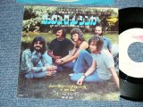 Photo: The MOODY BLUES ムーディー・ブルース - I'M JUST A SINGER ( IN A ROCK AND ROLL BAND ) ロックン・ロール・シンガー ( Ex++/Ex,Ex+++ )   / 1973 JAPAN ORIGINAL Used 7" Single 