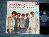 Photo: The HONEYCOMBS ザ・ハニーカムズ - HURRICANE (Ex++/Ex++) / 1965 JAPAN ORIGINAL   Used 7"45 Single