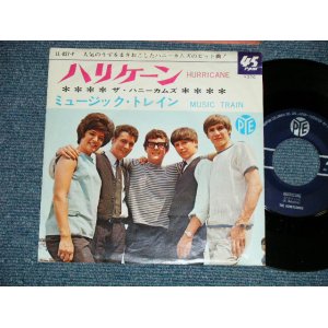 Photo: The HONEYCOMBS ザ・ハニーカムズ - HURRICANE (Ex++/Ex++) / 1965 JAPAN ORIGINAL   Used 7"45 Single