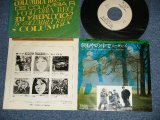 Photo: THE TOKENS トーケンズ - SHE LET'S HER HAIR DOWN 朝もやの中で　：OH TO GET AWAY ( Ex/Ex)   / 1970 JAPAN ORIGINAL "WHITE LABEL PROMO" Used 7" Single 