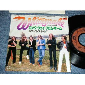 Photo: WHITESNAKE (DEEP PURPLE) - LONG WAY FROM HOME :   WALKING IN THE SHADOW OF THE BLUES  (Ex+++/MINT- ) / 1980 JAPAN ORIGINAL Used  7"45 With PICTURE Cover