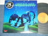 Photo: STARLAND VOCAL BAND - NITE RADIO (Ex++/MINT)  / 1978 JAPAN  ORIGINAL  Used  LP 