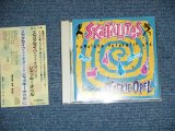 Photo: SKATALITES スカタライツ - FEATURING JACKIE OPEL  (MINT-/MINT)  / 1989  JAPAN ORIGINAL Used  CD  with OBI 