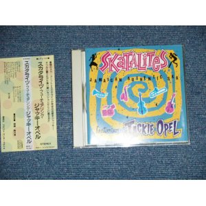 Photo: SKATALITES スカタライツ - FEATURING JACKIE OPEL  (MINT-/MINT)  / 1989  JAPAN ORIGINAL Used  CD  with OBI 