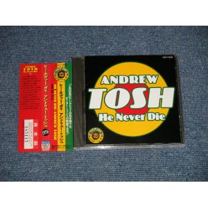 Photo: ANDREW TOSH アンドリュー・トッシュ - HE NEVER DIE ヒー・ネヴァー・ダイ(MINT/MINT)  / 1995 JAPAN ORIGINAL "PROMO" Used CD with OBI 