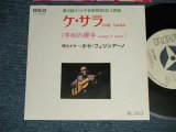 Photo: ost  JOSE FELICIANO  ホセ・フェリシアーノ -  A) CHE SARA (ITALIAN)  ケ・サラ   B) CHE SARA ケ・サラ （平和の握手 SHAKE A HAND) (Ex+++/MINT-) / 1971 JAPAN ORIGINAL "WHITE LABEL PROMO" Used 7" Single 