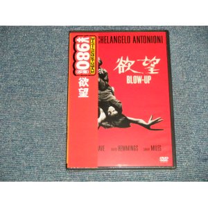 Photo: Movie 洋画 - 欲望  BLOW-UP   (SEALED) / 2004 JAPAN ORIGINAL "Brand New SEALED"  DVD 