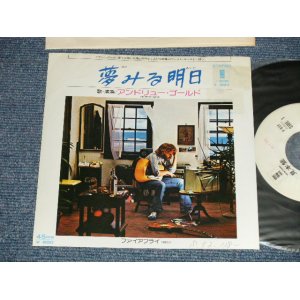 Photo: ANDREW GOLD アンドリュー・ゴールド -  A) STAY 夢みる明日  B) FIREFLYファイアフライ  ( Ex+/Ex+ SWOFC  )   / 1980 JAPAN ORIGINAL "WHITE LABEL PROMO" Used 7" Single 