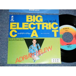 Photo: ADRIAN BELEW  エイドリアン・ブリュー - A) BIG ELECTRIC CAT  B) THE FINAL RHINO (Ex+/MINT- STOFC, WOFC,PROMO STAMP OL) / 1982 JAPAN ORIGINAL "PROMO" Used 7"45 rpm Single 