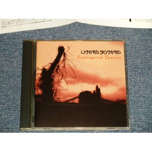 Photo: LYNYRD SKYNYRD レーナード・スキナード - ENDANGERED SPECIES エンディンジャード・スピーシーズ (MINT-/MINT) / 1994 JAPAN Used CD