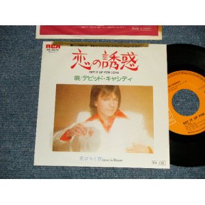 Photo: DAVID CASSIDY デビッド・キャシディ -  A) GET IT UP FOR LOVE 恋の誘惑  B) LOVE IN BLOOM 花ひらく恋 (Prod. By BRUCE JOHNSTON) (Ex+/Ex++) / 1975 JAPAN ORIGINAL Used 7" Single  with PICTURE COVER JACKET 