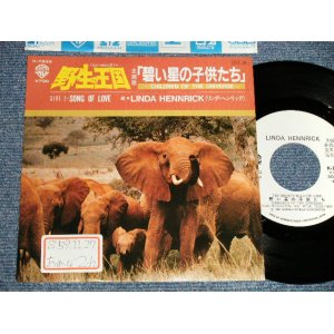 Photo: Linda Hennrick リンダ・ヘンドリック　 野生の王国　A)Children Of The Universe の子供達たたちち  B)Song Of Love (Ex++/MINT- STOFC) / 1984 JAPAN ORIGINAL "WHITE LABEL PROMO" Used 7" Single 