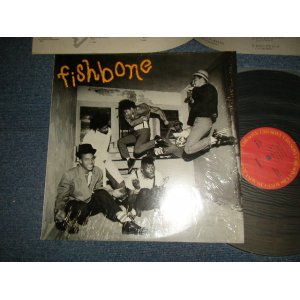 Photo: FISHBONE フィッシュボーン - FISHBONE  (MINT/MINT-) / 1985 JAPAN ORIGINAL Used LP 