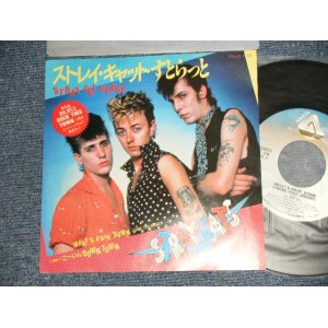 Photo: STRAY CATS  ストレイ・キャッツ - A)STRAY CAT STRUT  ストレイ・キャットすとらと  B)WHAT'S GOIN' DOWN  ごーいんDOWN TOWN (MINT/MINT) / 1981 Japan ORIGINAL Used 7" Single With PICTURE SLEEVE 