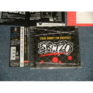 Photo: SKITZO スキッツォ - THE BEST OF  (MINT-, Ex/MINT) / 2003 JAPAN ORIGINAL Used CD with OBI 