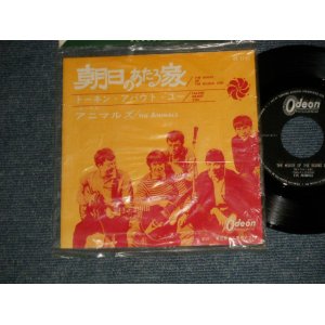 Photo: The ANIMALS アニマルズ - A) THE HOUSE OF THE RISING SUN 朝日のあたる家B) TALKIN' ABOUT YOU トーキン・アバウト・ユー (Ex++/Ex++) / 1964 JAPAN ORIGINAL "1st Press JACKET" Used 7" 45's Single 