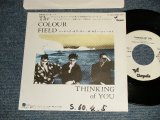 Photo: THE COUR FIELD ザ・カラー・フィールド - THINKING OF YOU (Ex++/Ex++ WOFC, BB for PROMO) / 1985 JAPAN ORIGINALN "WHITE LABEL PROMO" Used 7" Single 