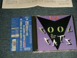 Photo: SQUEEZE スクイーズ - COOL FOR CATS クール・フォー・キャッツ  (MINT/MINT) / 1994 JAPAN Used CD With OBI   