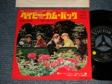 Photo: THE EQUALS イコールズ - A) BABY COME BACKベイビー・カム・バック   B) HOLD ME CLOSER (Ex++/Ex+++ STOL)  /1967 JAPAN Original  Used 7" Single 