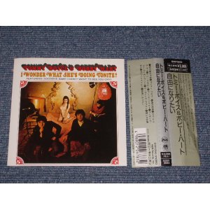 Photo: TOMMY BOYCE &  BOBBY HART - I WONDER WHAT SHE'S DOING TONITE? /  1987 JAPAN ORIGINAL Used  CD With OBI 