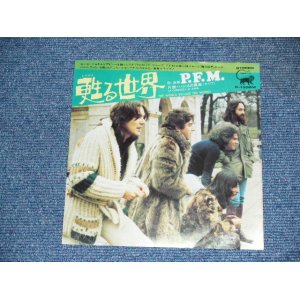 Photo: P.F.M. - THE WORLD BECAME THE WORLD / 1974 JAPAN ORIGINAL 7"45 With PICTURE COVER 