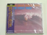 Photo: THE LIVELY ONES - THE GREAT SURFIN' HITS!! / 1991 JAPAN ORIGINAL SEALED CD With OBI 