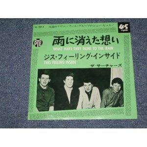 Photo: THE SEARCHERS - WHAT HAVE THEY  DONE TO THE RAIN / 1965 JAPAN ORIGINAL Used 7" Single