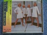 Photo: FOUR KING COUSINS - INTRODUCING... / 1993 JAPAN SEALED CD  / 1993 JAPAN ONLY Mail Order CD 