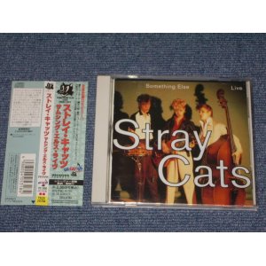 Photo: STRAY CATS ストレイ・キャッツ  - SOMETHING ELSE LIVE  / 1994 JAPAN  ORIGINAL Used CD With OBI  