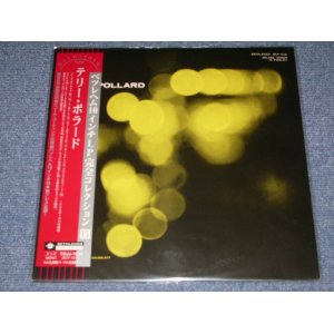 Photo: TERRY POLLARD - TERRY POLLARD  / 2000 JAPAN LIMITED Japan 1st RELEASE  BRAND NEW 10"LP Dead stock