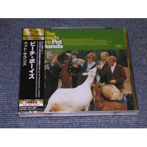 Photo: THE BEACH BOYS - PET SOUNDS   / 2008 JAPAN ONLY Limited SHM-CD Sealed  