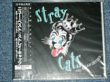 Photo: STRAY CATS ストレイ・キャッツ  - NEW BEST  / 1994 JAPAN ORIGINAL Brand New Sealed  CD 