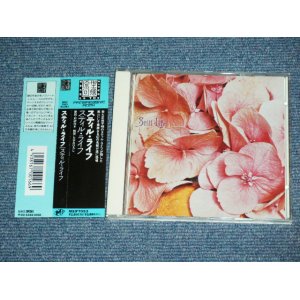 Photo: STILL LIFE - STILL LIFE  / 1991 GERMAN + 1993 JAPAN OBI&LINNER  ISSUED VERSION  Used CD With OBI 