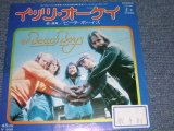 Photo: THE BEACH BOYS - IT'S OK / 1976 JAPAN ORIGINALWhite Label Promo  used 7"Single