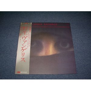 Photo:  VANGELIS - OPERA SAUVAGE  / 1980 JAPAN White Label Promo Used  LP With OBI 