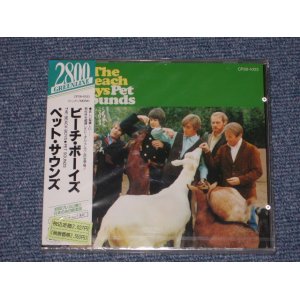 Photo: THE BEACH BOYS - PET SOUNDS ( 1st RELEASED in JAPAN ) / 1987 JAPAN ORIGINAL Brand New Sealed  CD 