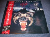 Photo: TREVOR RABIN - WOLF  / 1980  JAPAN WHITE LABEL PROMO LP With OBI 