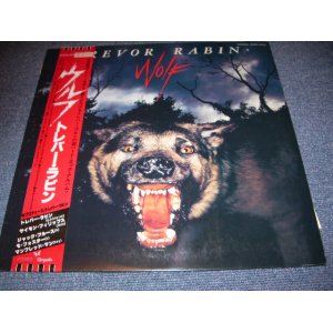 Photo: TREVOR RABIN - WOLF  / 1980  JAPAN WHITE LABEL PROMO LP With OBI 